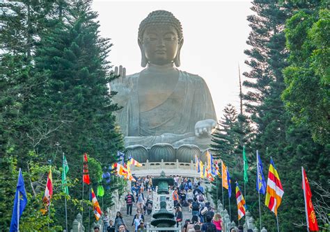 Tian Tan Big Buddha & Po Lin Monastery, Hong Kong | Finding Beyond