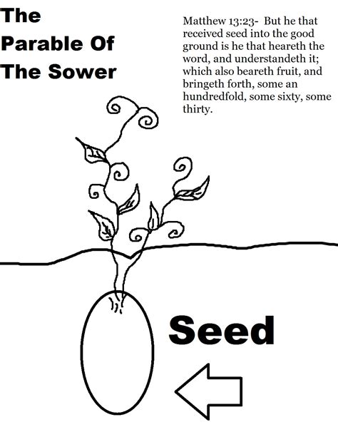 The Parable of The Sower Sunday School Lesson