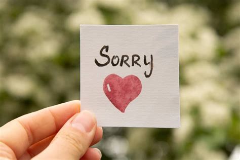 Sorry Quotes For Love