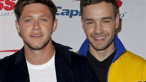 Liam Payne reunites with One Direction pal Niall Horan as he admits he's missing baby Bear in ...