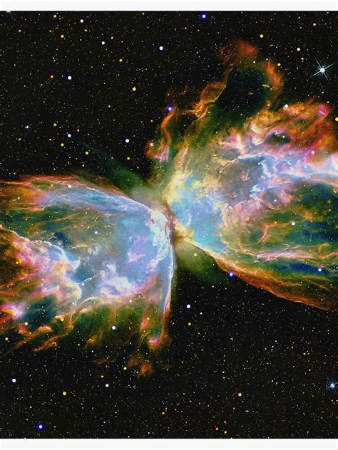 Butterfly Nebula - THE WORLD ALOHA