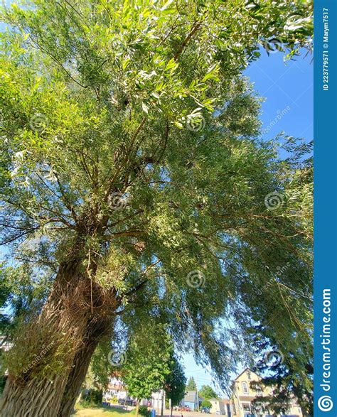 Hanging Around in Wellesley, Ontario Stock Image - Image of area, blue ...