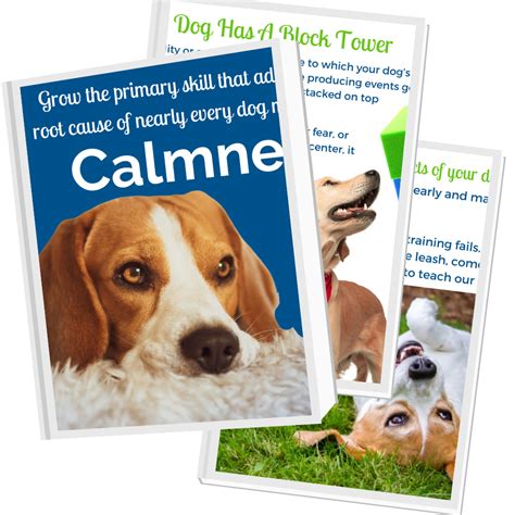 Calmness Freebie • The Well-Mannered Dog, LLC/ Dog training/ Puppy Classes/ eugene oregon ...