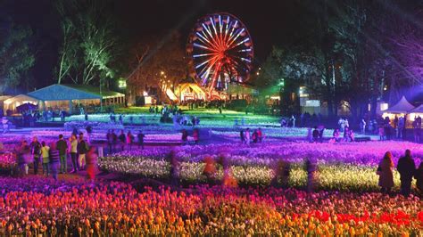 Win a trip to Floriade 2015 in Canberra | Mudgee Guardian | Mudgee, NSW