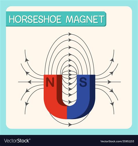 Horseshoe magnet diagram for education Royalty Free Vector