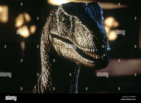 Jurassic Park 1993. velociraptor Stock Photo - Alamy