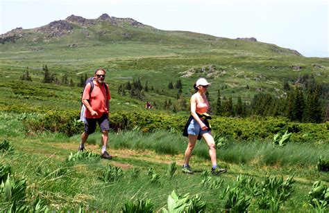 Vitosha & Cherni Vrah Peak Hiking Day Tour From Sofia. Guided & Self-guided.