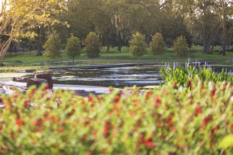 Brand New Houston Botanic Garden Brings an Outdoor Wonderland to America's Fourth Largest City ...