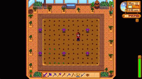 Best Greenhouse Layouts in Stardew Valley: Optimal Production and Profit