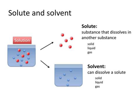 Understanding the Solute and Solvent Relationship