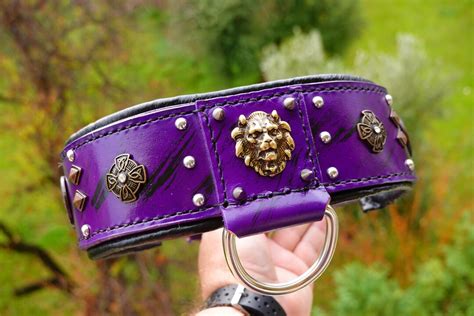 Cane Corso Collar Purple, XL Bully Collar, Leather Mastiff Strong Dog ...