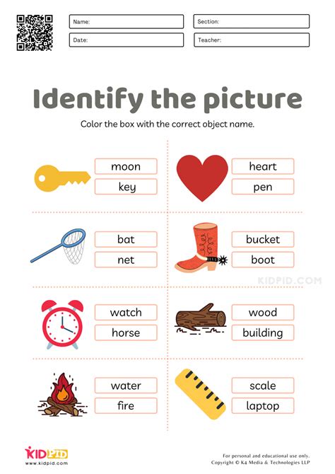 Identifying Objects Words Worksheets for Kids - Kidpid