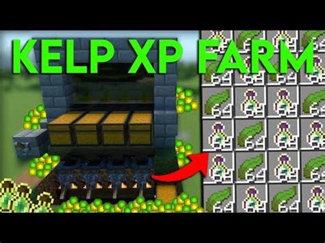 NEW 1.19 KELP XP FARM TUTORIAL in Minecraft Bedrock (MCPE/Xbox/PS4/Nintendo Switch/PC ...