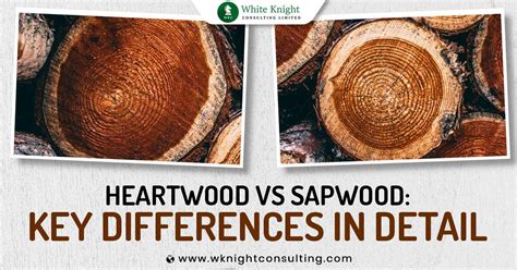 Heartwood vs Sapwood : A Closer Look at The Differences