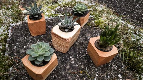 DIY Succulent Planter : 7 Steps (with Pictures) - Instructables