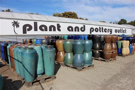 We import pottery from around the globe and source plants from local ...