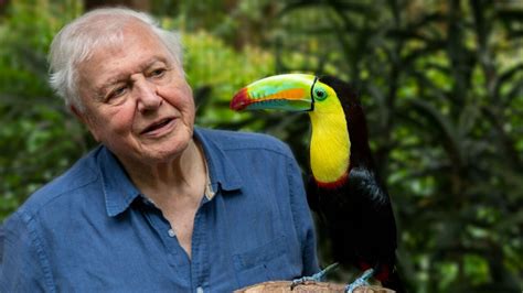 Life in Color With David Attenborough - Netflix Series - Where To Watch