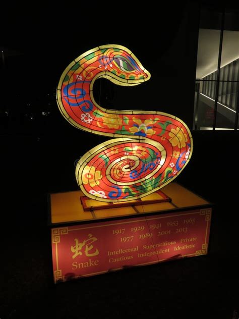 Chinese Lunar New Year Snake at Night Stock Image - Image of night, celebration: 170354071