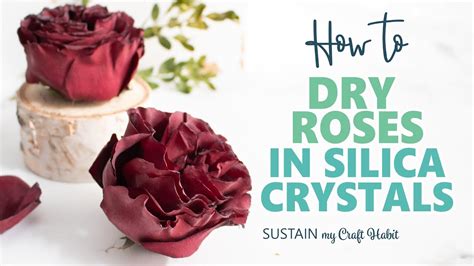 How to Dry Roses in Silica Crystals: Turned out Great Even my First Time! - YouTube