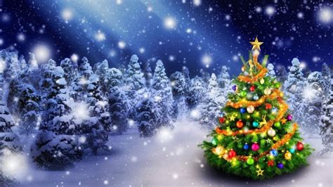 Christmas Tree in Snow HD Wallpaper - WallpaperFX