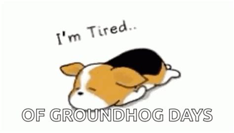 Tired Of Groundhog Day Sleeping Puppy GIF | GIFDB.com