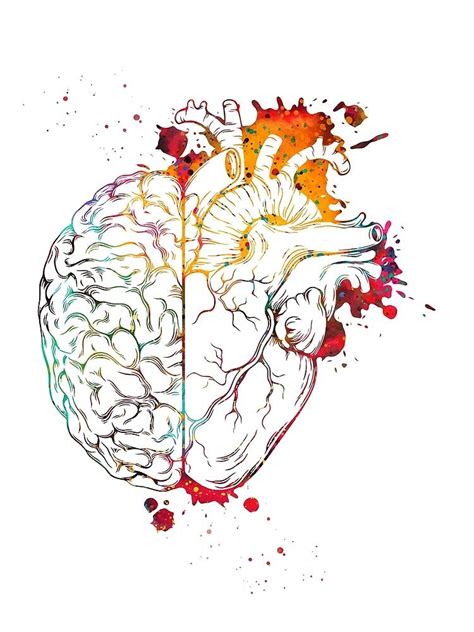 « Coeur et cerveau » par erzebetth | Redbubble | Arte cerebro, Arte de anatomía, Cerebro ilustracion