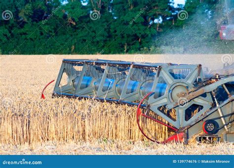 Harvester Machine To Harvest Wheat Field Working Stock Photo - Image of golden, barley: 139774676