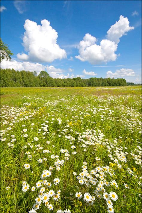 Tula Oblast, Russia guide