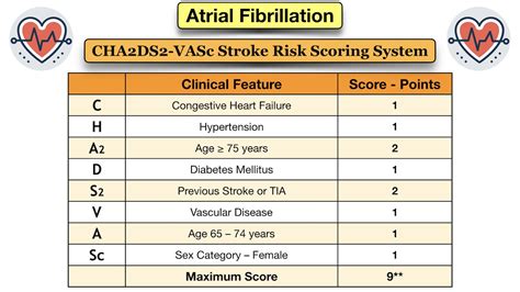 Atrial Fibrillation Treatment Guidelines: Drugs, Medication Options ...