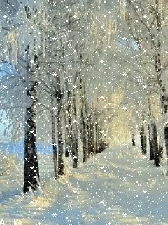 Snow Day Beautiful GIF - SnowDay Beautiful Winter - Discover & Share GIFs