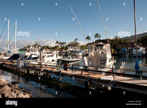 Early morning at Lahaina Harbor West Maui Hawaii showing big game fishing boats Stock Photo - Alamy