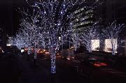 Photo of illuminated christmas trees | Free christmas images
