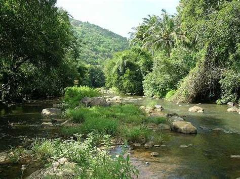 Vydehi Falls, Coimbatore| Vydehi Falls Photos and Timings