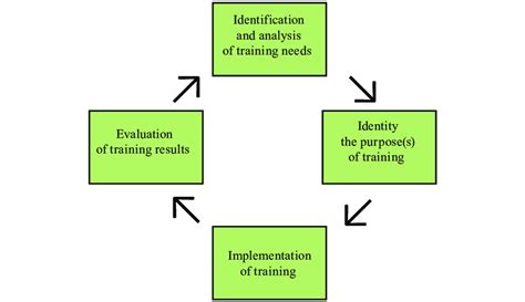 1. The training process (training cycle) | Download Scientific Diagram