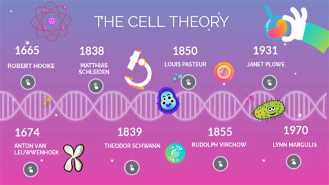 Timeline Of Cell Theory - vrogue.co