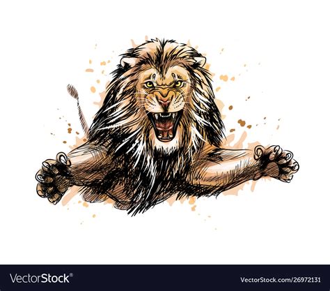 Portrait a jumping lion from splash Royalty Free Vector