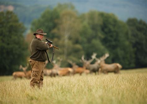 UK Trophy Hunting Ban