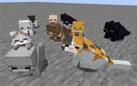 Fat Cat Minecraft Texture Pack