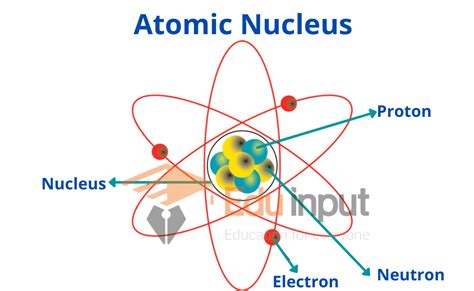 Atomic Nucleus- Nucleons, Charge Number, and Mass Number