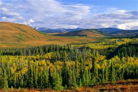 Tree Communities of the Forest Biomes of North America