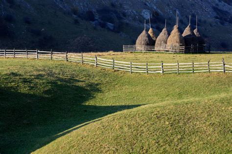 Haystack Silhouette Stock Photos, Pictures & Royalty-Free Images - iStock