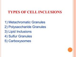 Cell inclusions | PPT