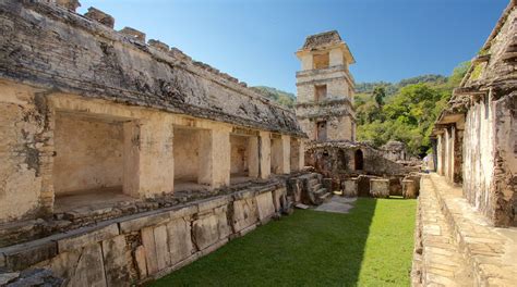 Präkolumbianische Stadt und Nationalpark von Palenque in Palenque - Expedia.de