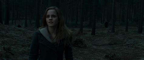 Harry Potter And The Deathly Hallows Part 1 (BluRay) - Hermione Granger Image (22607426) - Fanpop