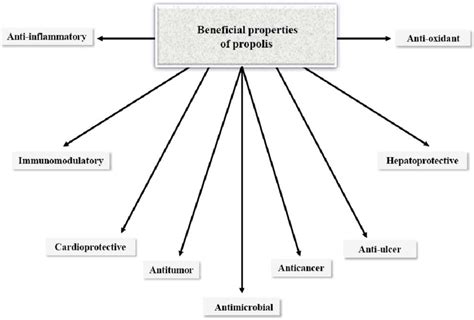 Beneficial properties of propolis. | Download Scientific Diagram