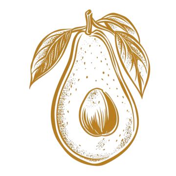 Vector Golden Avocado Line Drawing, Avocado, Gold, Golden PNG ...