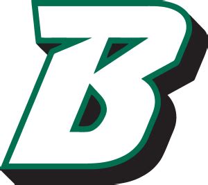 Binghamton University Logo Vector - (.Ai .PNG .SVG .EPS Free Download)