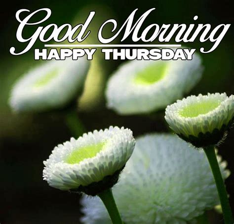 Beautiful Thursday Flowers - good morning motivational quotes