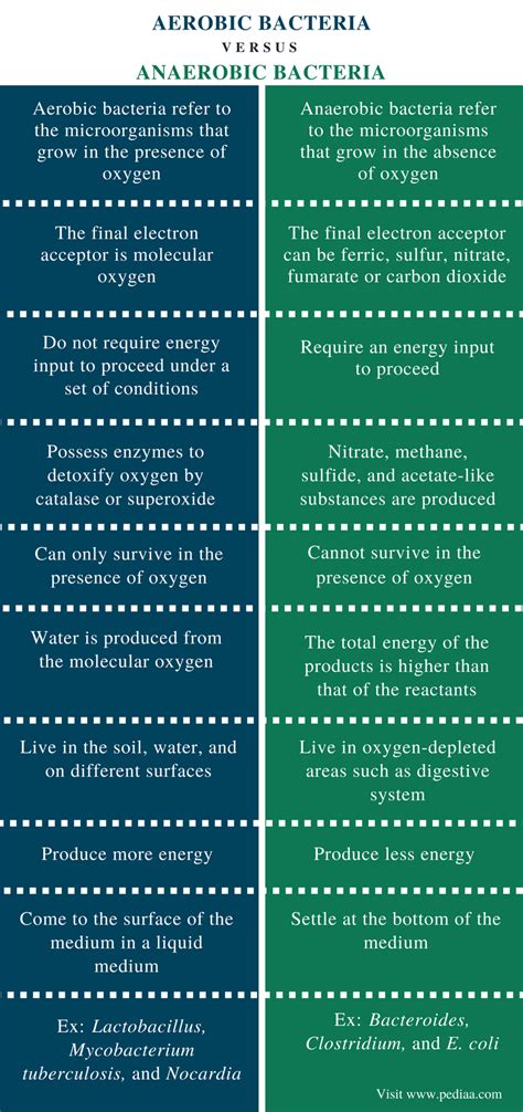 Difference Between Aerobic and Anaerobic Bacteria | Definition, Facts ...