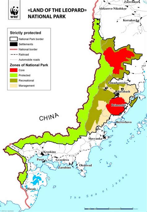 Amur Leopards Habitat